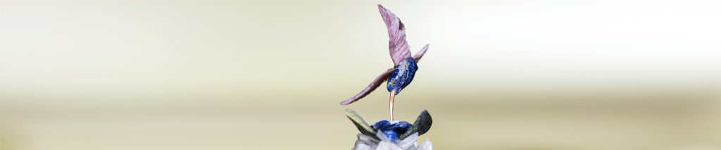 Level 3 – der Kolibri, im Schamanismus Cera Kente genannt